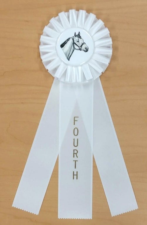 Quick Ship Horse Show Rosette Ribbons 1st - 6th Place - McLaughlin Ribbon  Awards